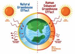 Für sinnvollen Klimaschutz im Alltag muss man wissen, was der Treibhauseffekt ist.