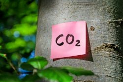 Mit dem CO2-Rechner lässt sich der persönliche CO2-Fußabdruck ermitteln.