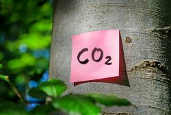 Mit dem CO2-Rechner lässt sich der persönliche CO2-Fußabdruck ermitteln.