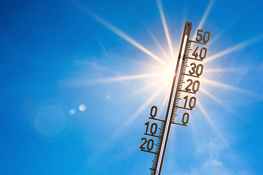 Das Sofortprogramm Klimaanpassung des BMUV stellt sich neuen Hitzerekorden oder anderen Extremwetter-Situationen.