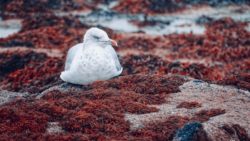 Naturfoto als Symbolbild für nachhaltige Aspekte im Onlinemarketing