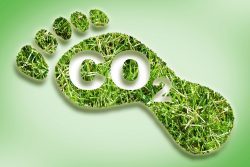 Der CO2-Fußabdruck als Symbolbild für Klimaneutralität