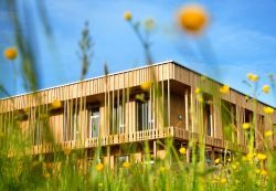 Bauen mit Holz als klimafreundliche Alternative zu Beton