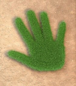 Der CO2-Handabdruck misst den positiven Impact, den unser Verhalten auf den Klimaschutz hat.