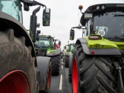 Ringen um die Zukunft der Landwirtschaft