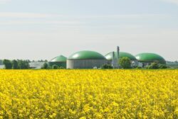 Das Potenzial von Biogas für die Energieversorgung ist noch nicht erschöpft.