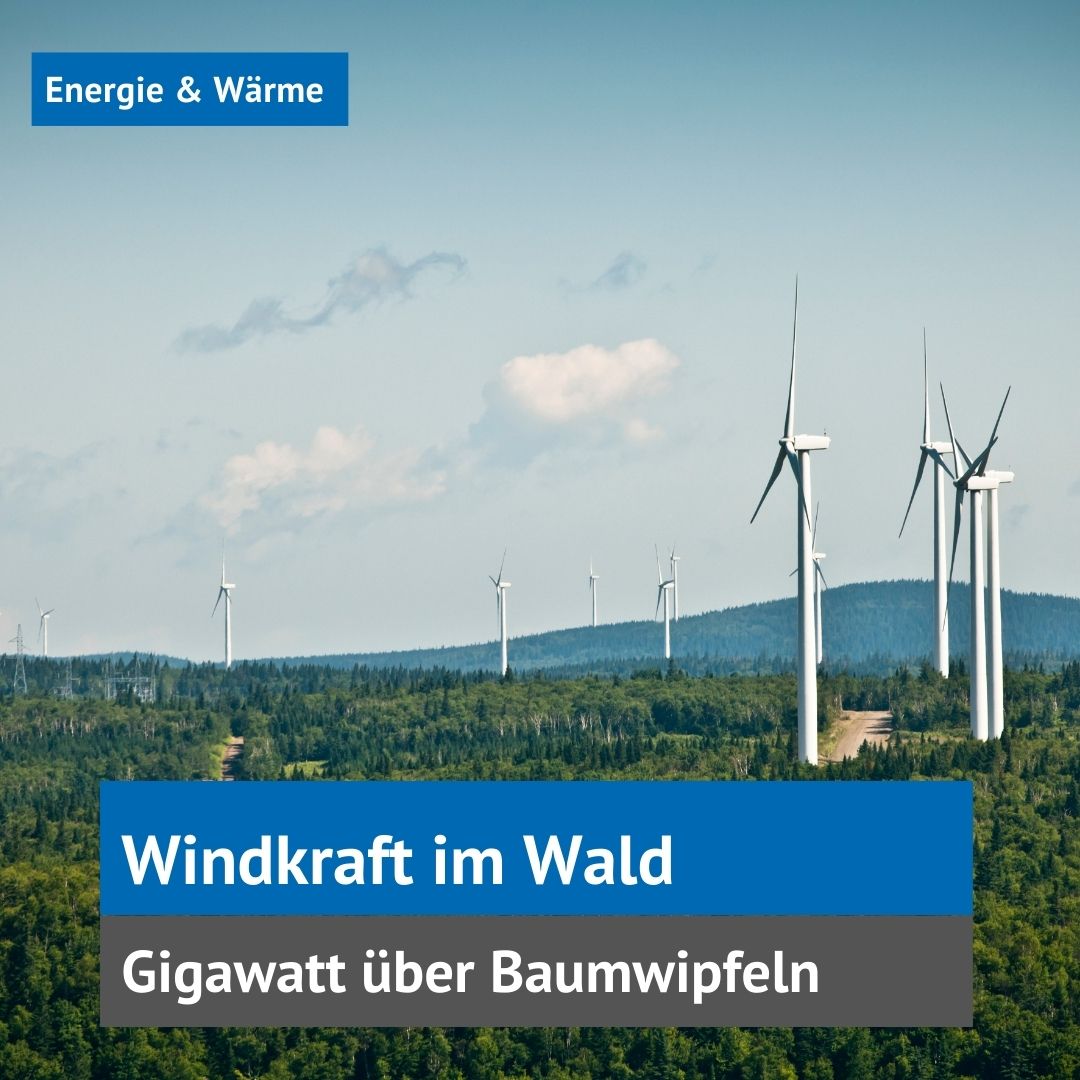 Windkraft im Wald
