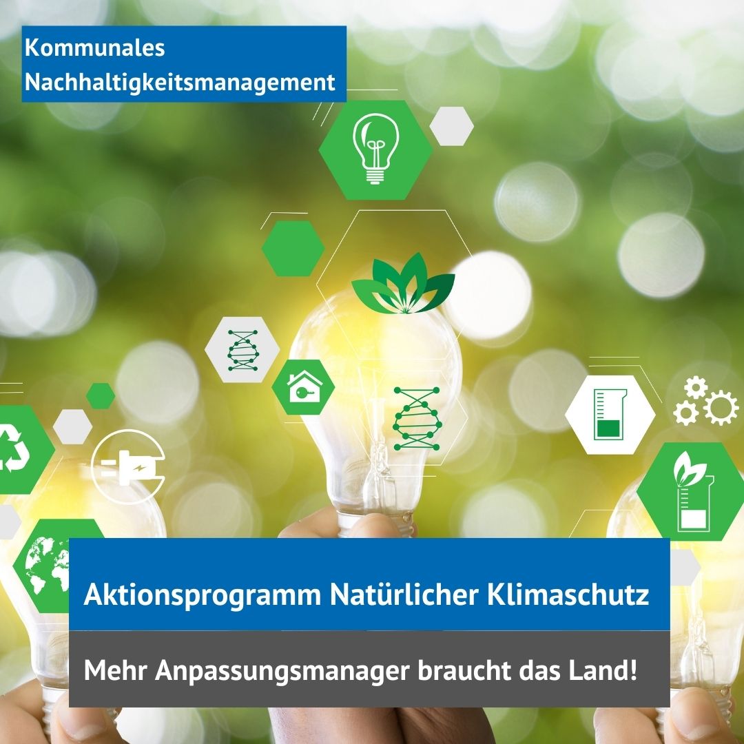 Aktionsplan Natürlicher Klimaschutz