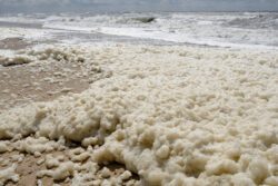 PFAS finden sich im Meeresschaum in Nord- und Ostsee.