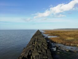 CO2-Speicherung im Meeresgrund vor der Nordseeküste