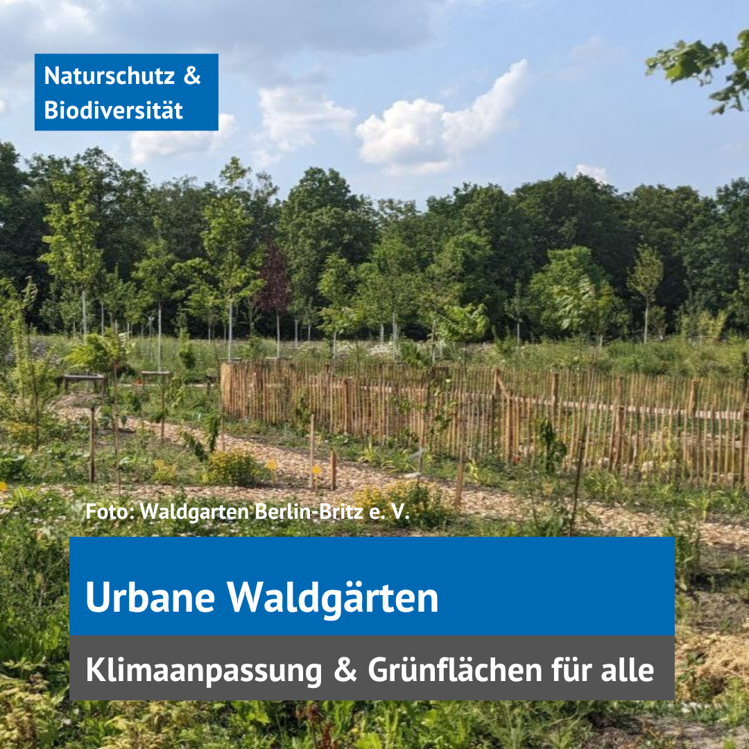 Kachel Waldgärten