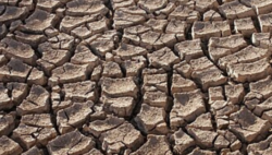 Der Wassermangel nimmt in deutschen Landkreisen zu