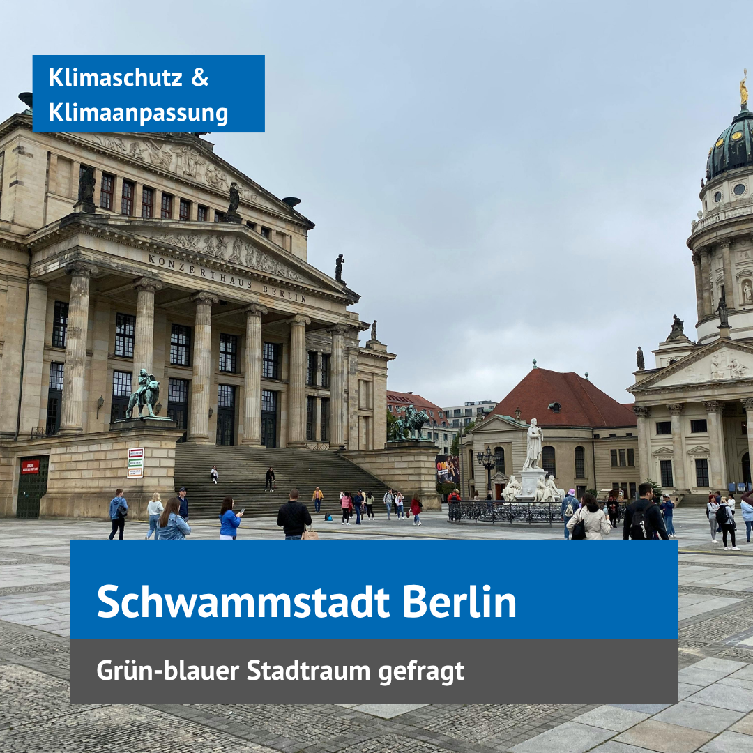 Schwammstadt Berlin